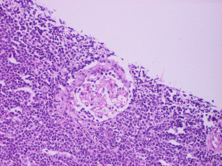 Figure 4 F4